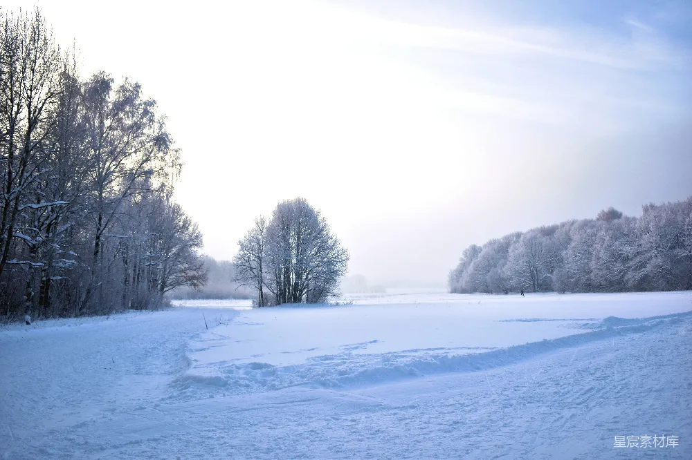 高清摄影 背景中有树木的一片雪覆盖的田野