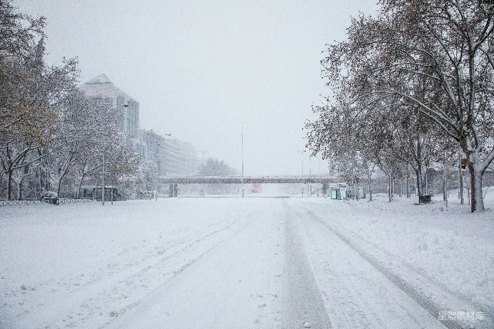 高清摄影 雪覆盖的道路旁有裸树在白天