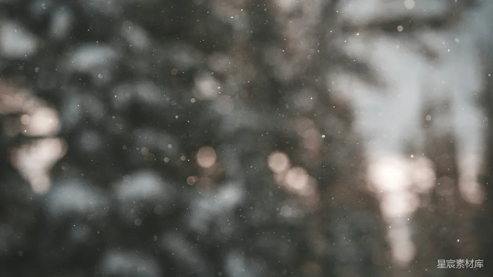 高清摄影 一片模糊的雪覆盖森林的照片