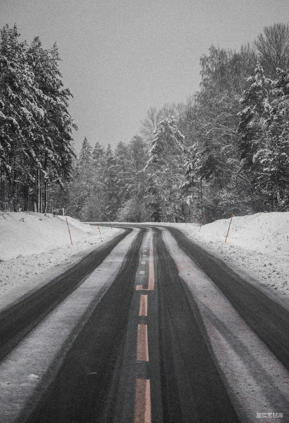 高清摄影 雪覆盖树木之间的黑色沥青道路