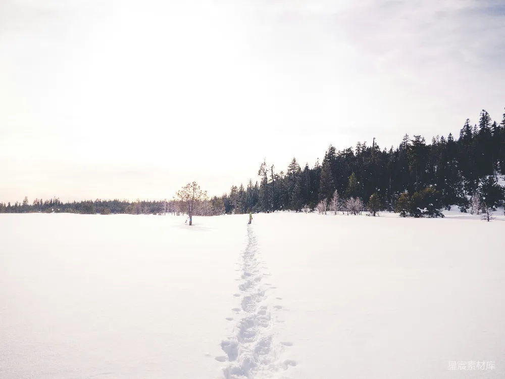 高清摄影 白天人在雪上行走