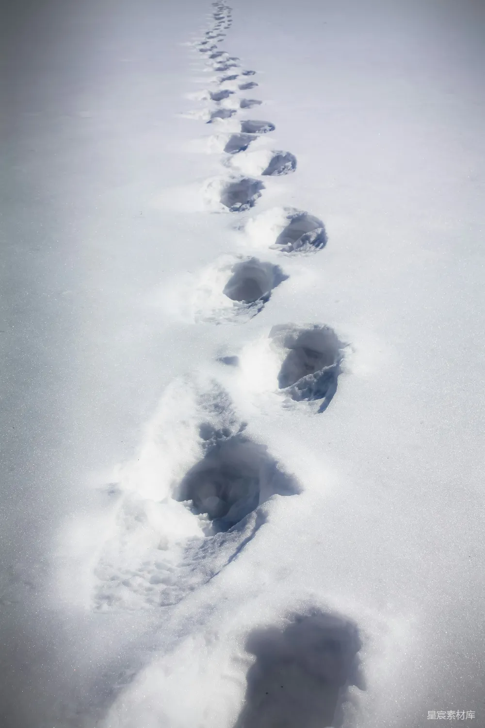高清摄影 雪地里一条长长的脚印线