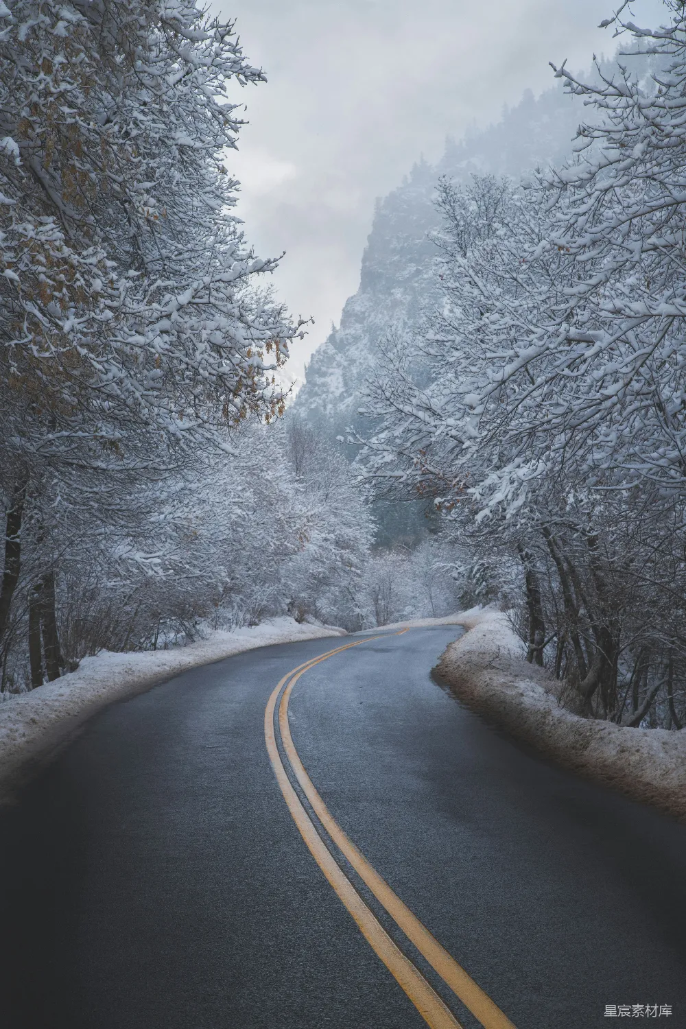 高清摄影 白天树木覆盖的雪地上的黑色沥青道路