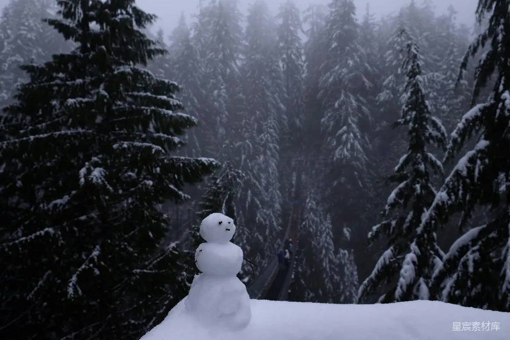 高清摄影 雪人站在覆盖着积雪的树旁的地面上，白天时。