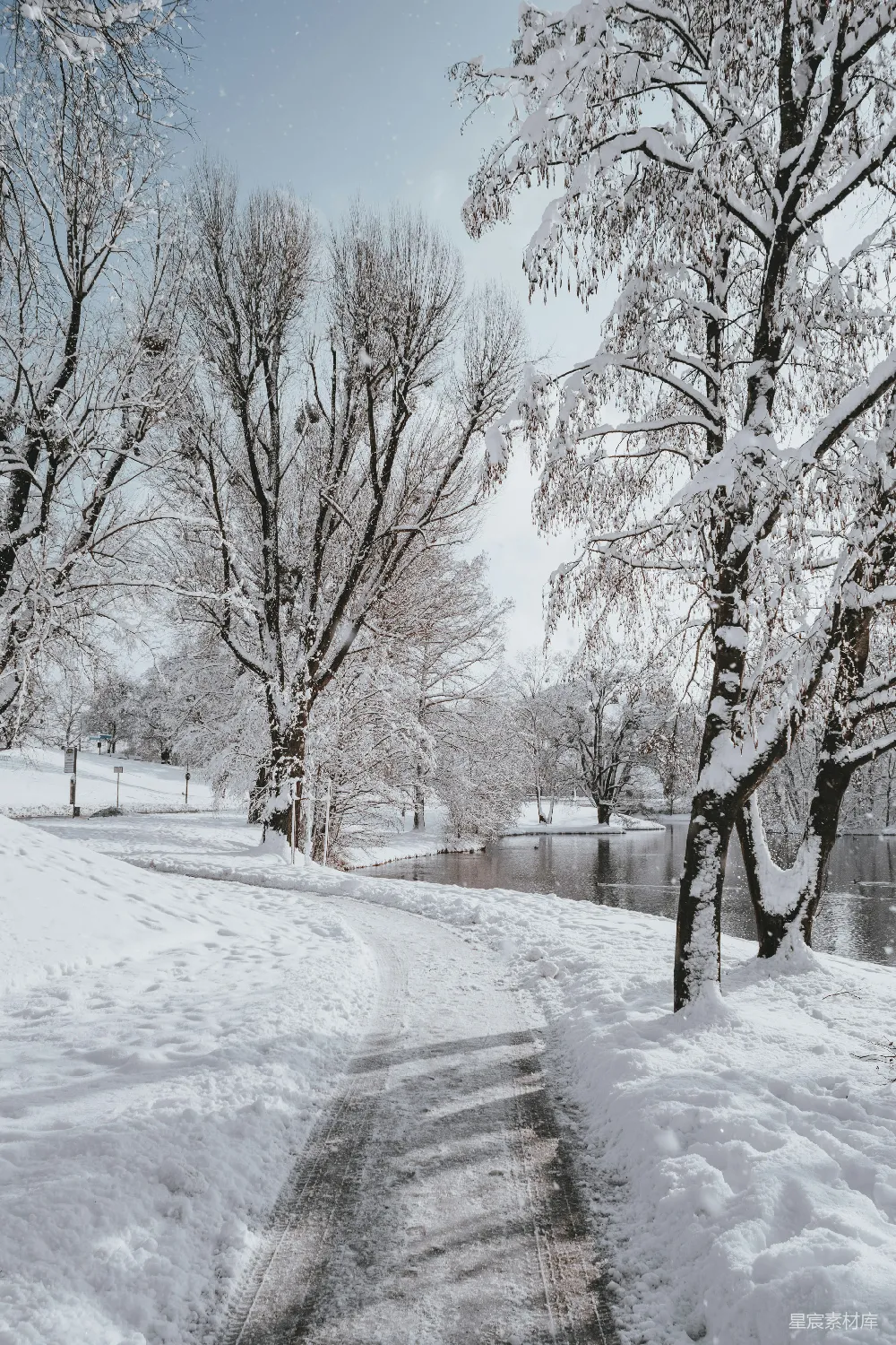 高清摄影 树丛覆盖着白雪中的蜿蜒小路