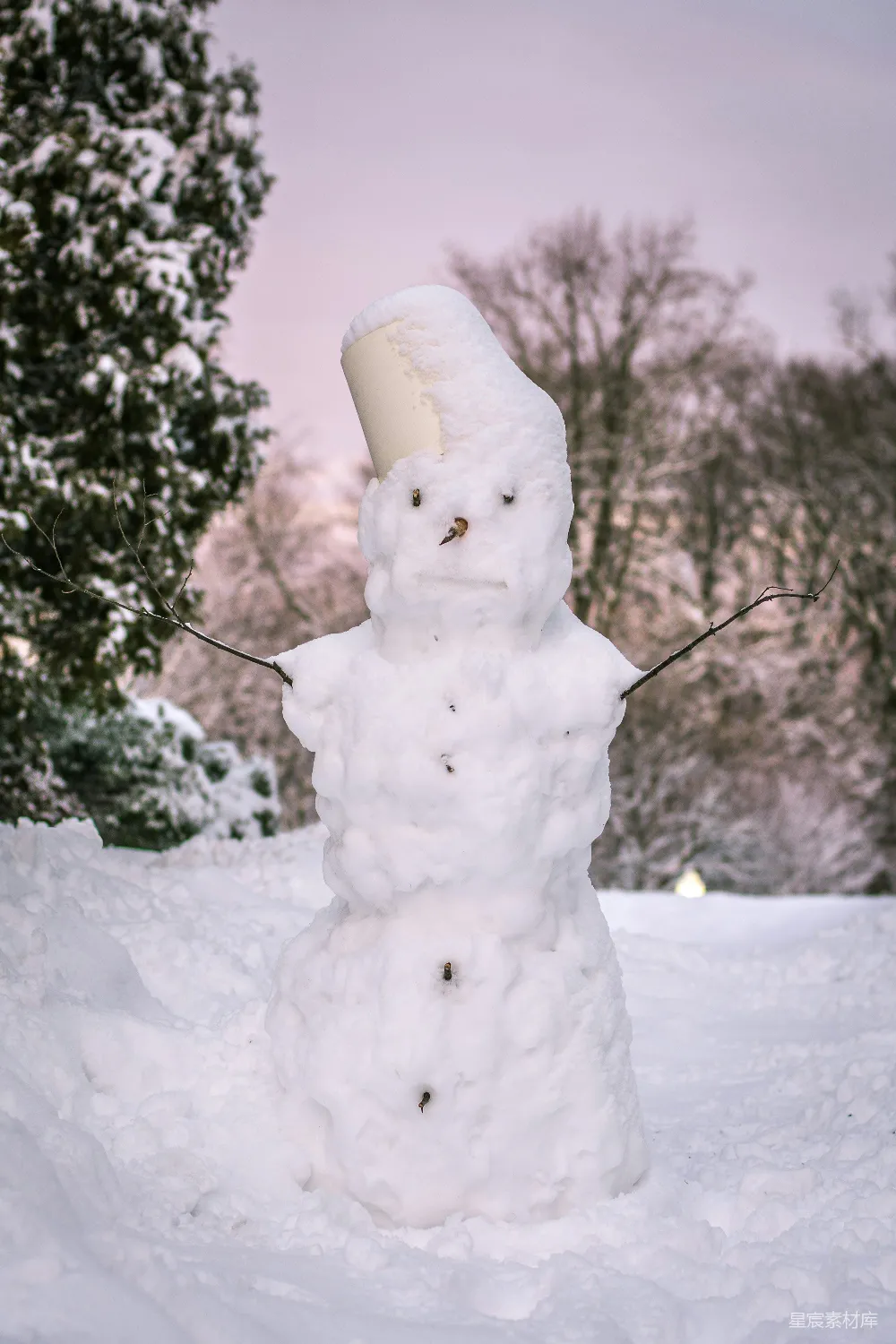 高清摄影 雪地里戴着杯子的雪人