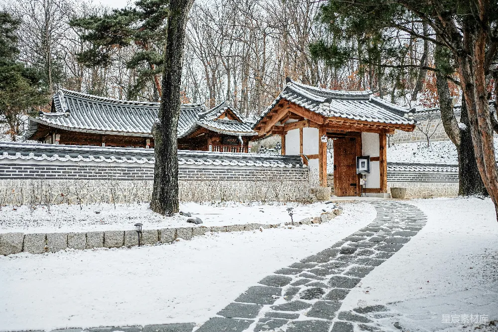 高清摄影 白天近树的一栋棕色和白色混凝土建筑