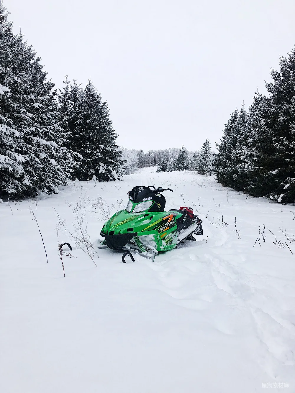 高清摄影 雪地摩托在树丛间的雪场中行驶