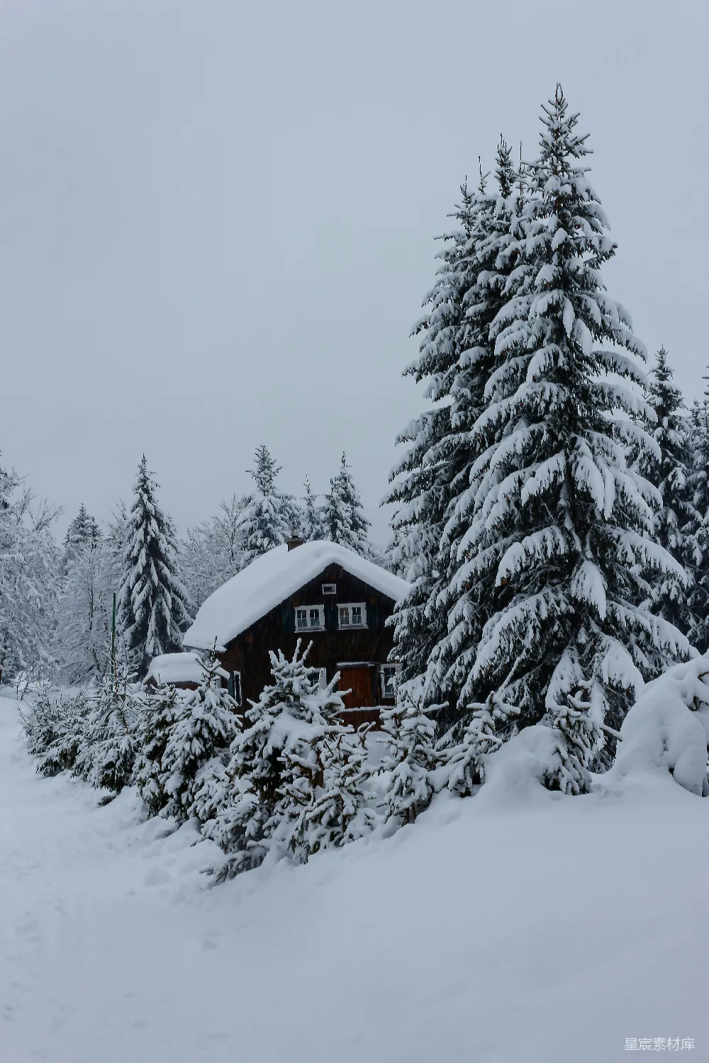 高清摄影 白天，一座用棕色木头建造的房子被雪覆盖着，旁边有绿色的松树。