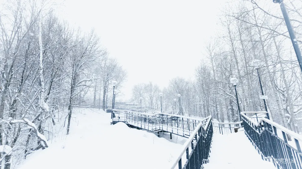 高清摄影 覆盖着白雪的公园，有一座桥和树木