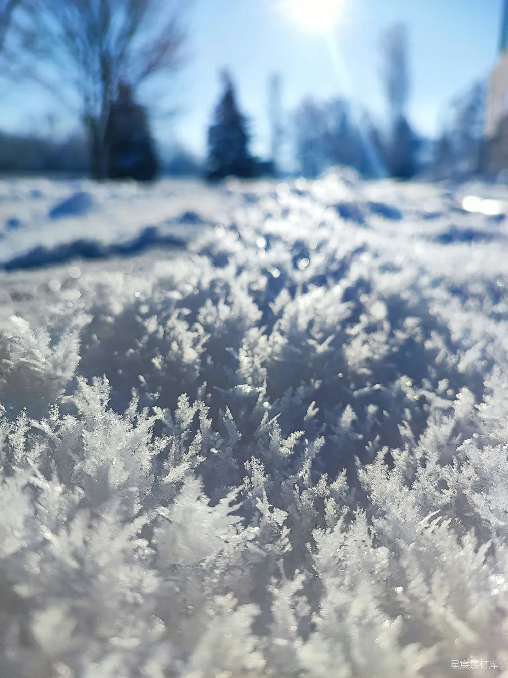 高清摄影 背景中有树木的雪覆盖的田野