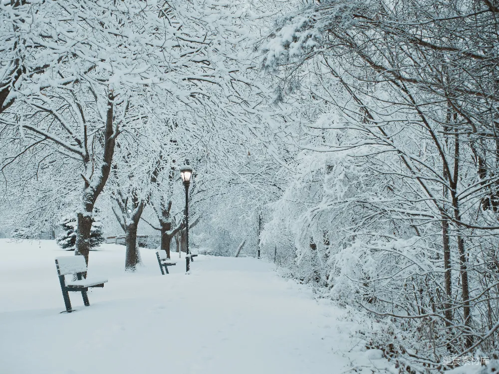 高清摄影 黑色夹克的人站在覆盖着积雪的地面，在白天。