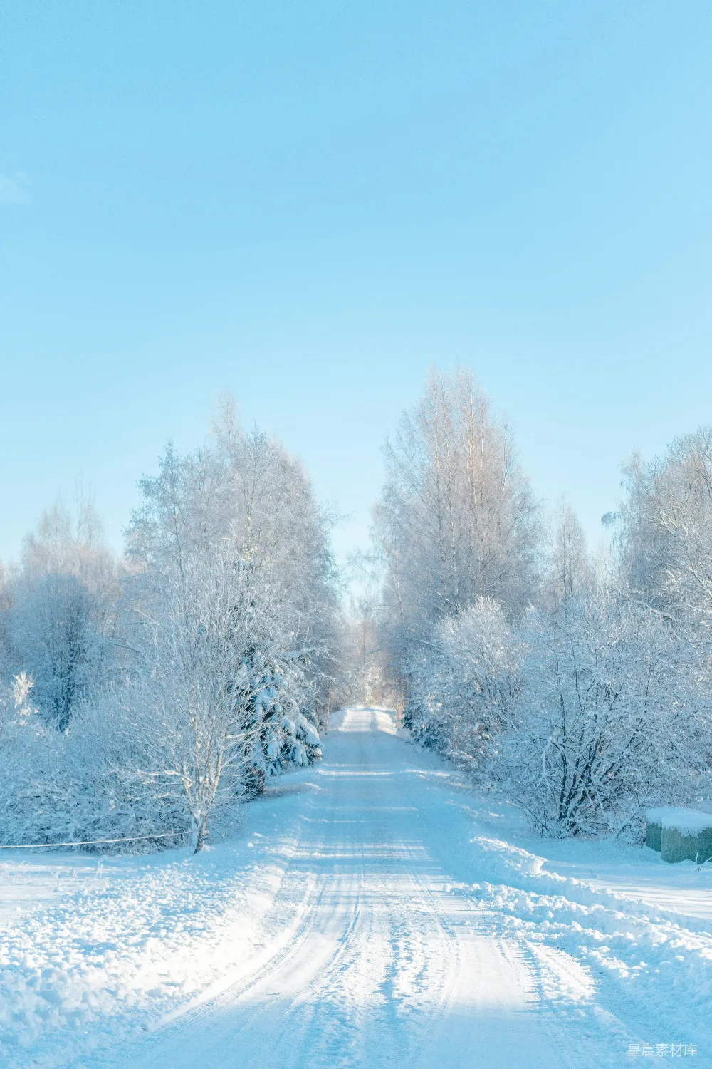 高清摄影 覆盖着白雪的道路被树木和灌木丛环绕著