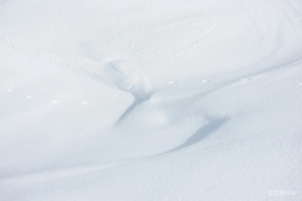 高清摄影 白天的白雪覆盖了田野。