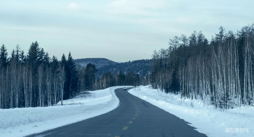 高清摄影 森林中一条被雪覆盖的道路
