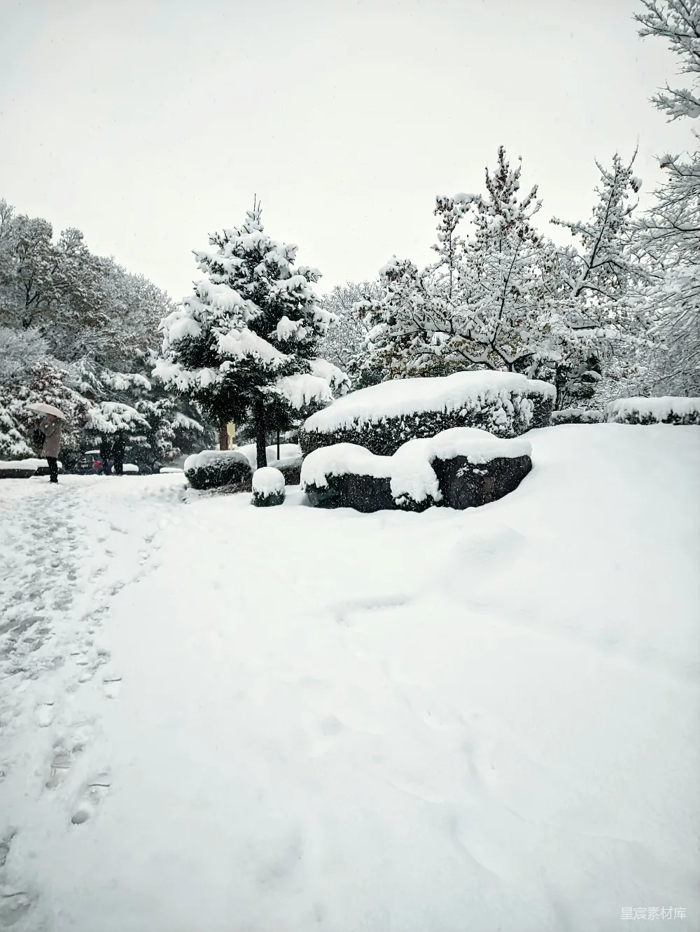 高清摄影 覆盖着白雪的公园里有很多树木。