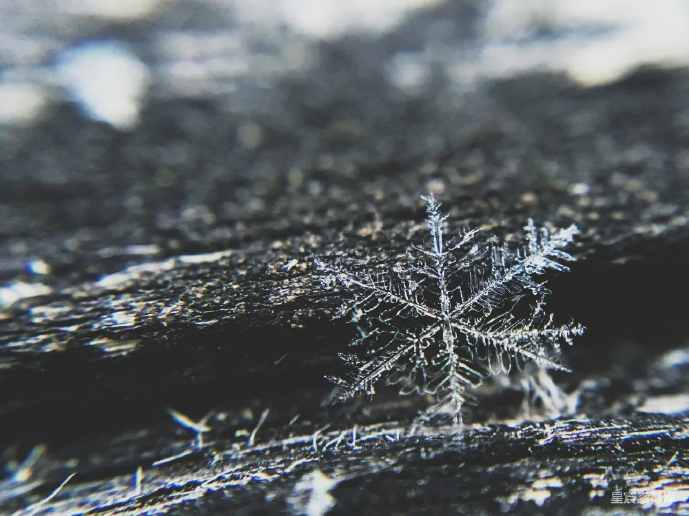 高清摄影 雪flake