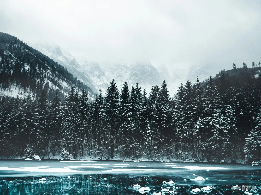 高清摄影 白天积雪覆盖的松树和山脉