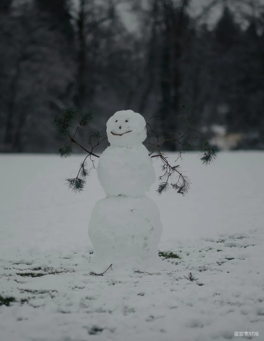 高清摄影 雪人站在一片雪地中央。