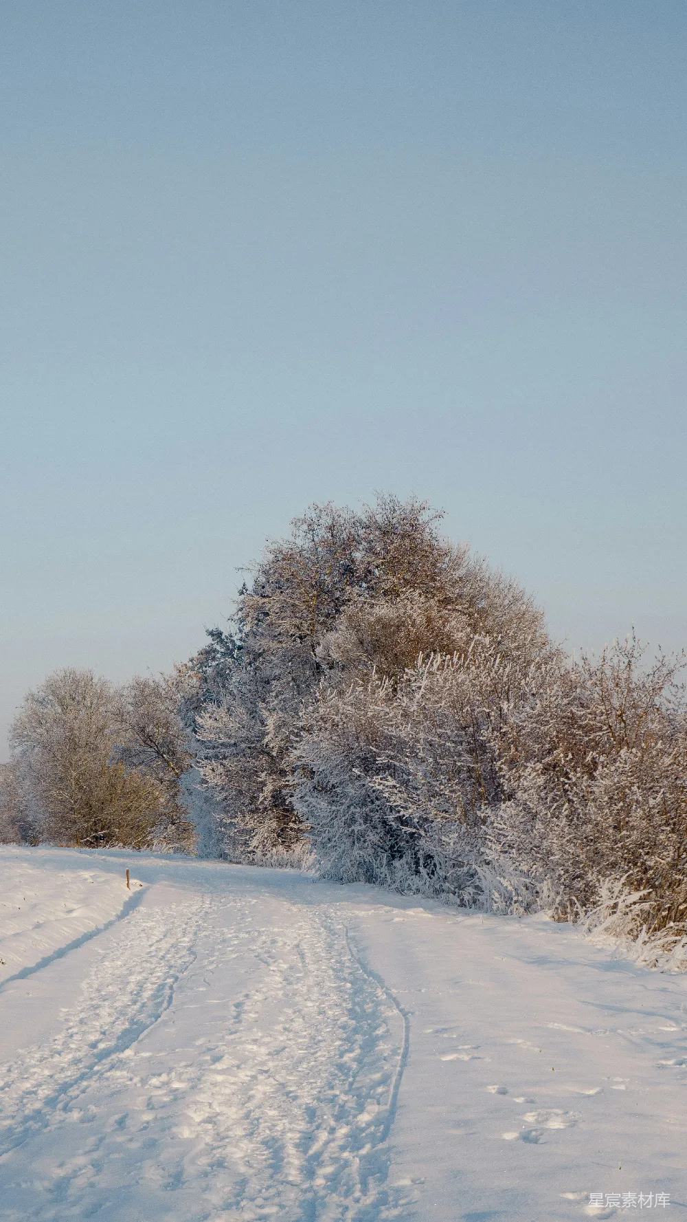 高清摄影 一个人在一条覆满白雪的小路上行走。