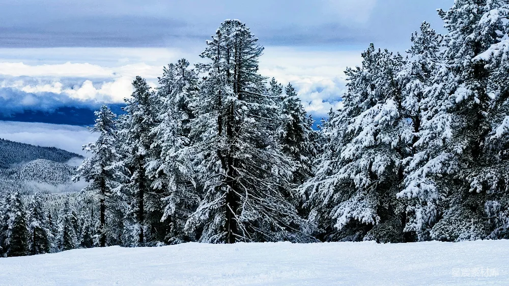 高清摄影 背景中有树木和云的雪景