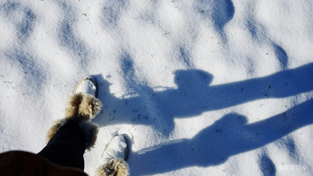 高清摄影 一个影子站在雪中