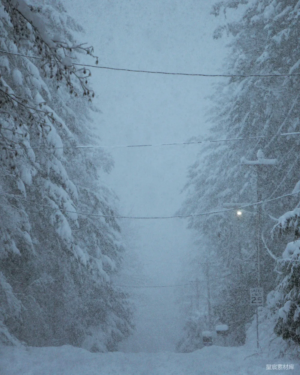 高清摄影 雪覆盖的街道，树木和电线杆。