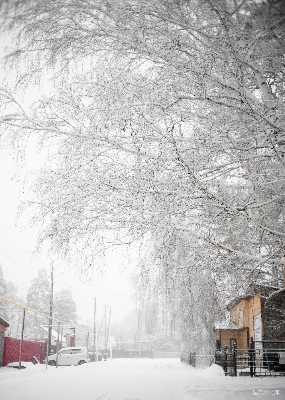 高清摄影 一条被雪覆盖的街道两旁是房屋和树木