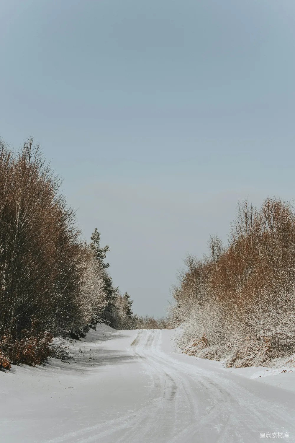 高清摄影 覆盖着白雪的道路周围被树木和灌木环绕。