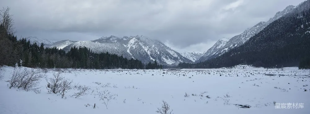 高清摄影 背景为山脉的雪覆盖的田野