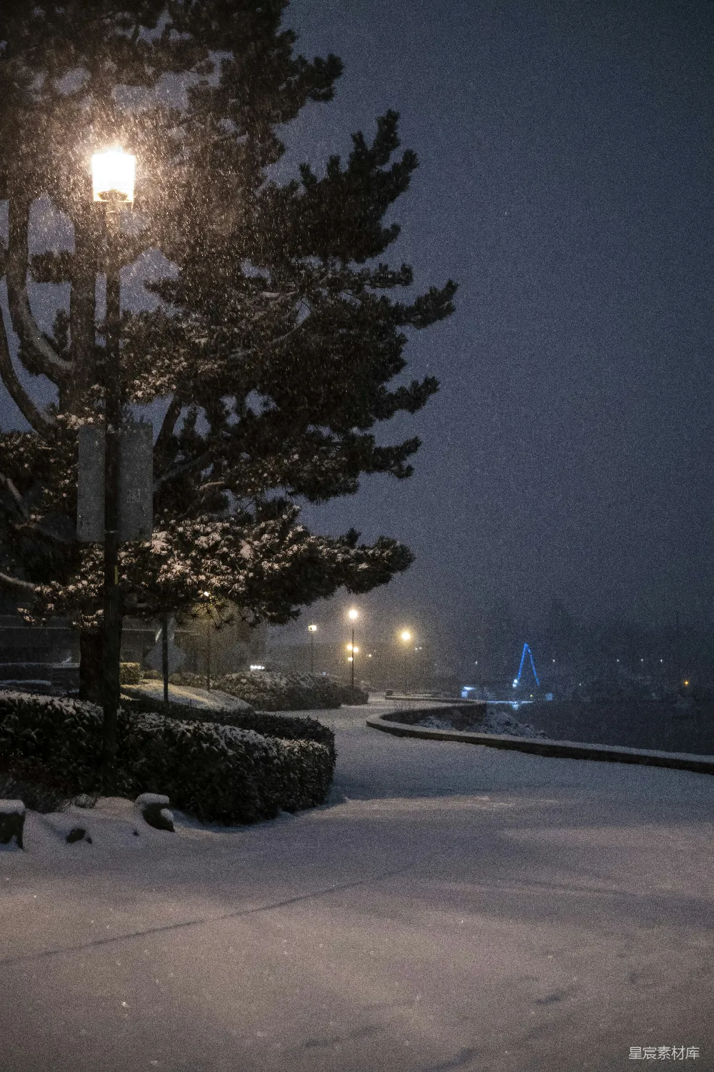 高清摄影 夜雪中的一盏街灯