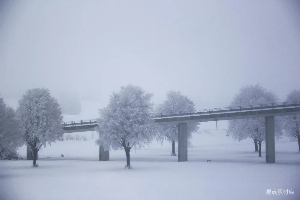 高清摄影 一幅覆盖着白雪的树木和小桥的风景图