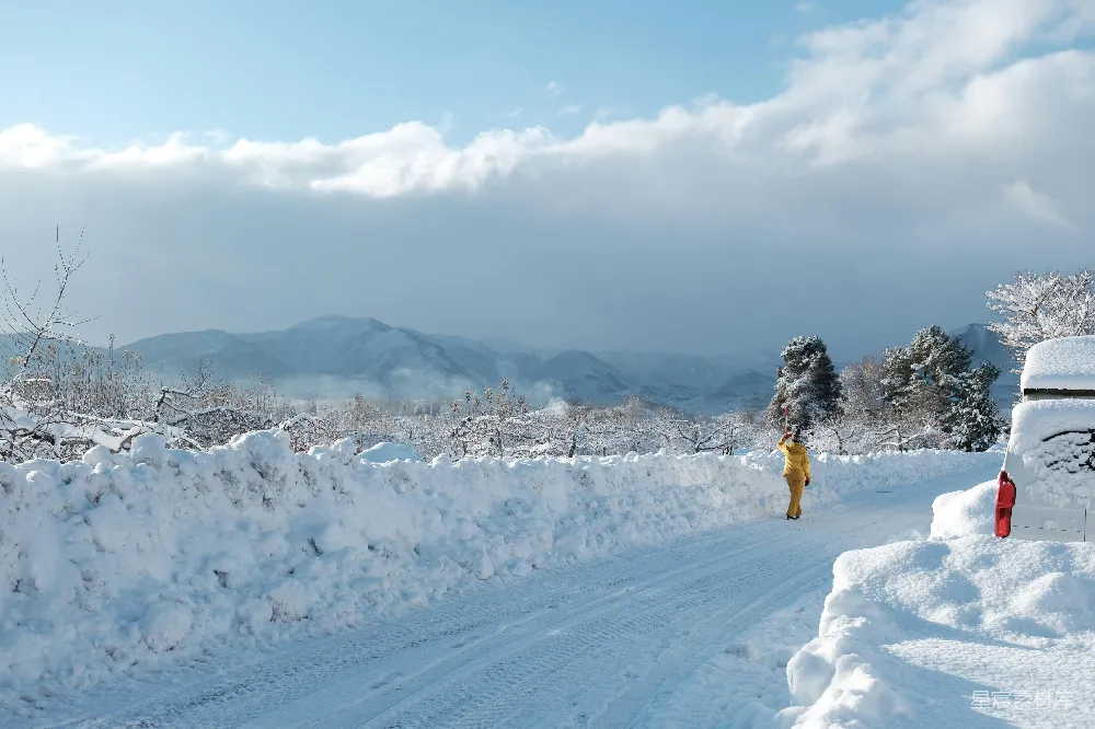 高清摄影 一个人在覆满雪花的道路中行走