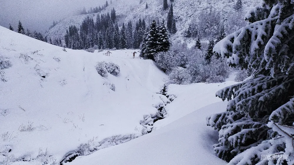 高清摄影 覆盖着白雪的山峦，地面和树上覆有积雪。
