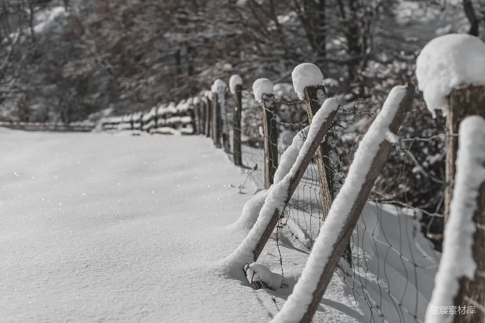高清摄影 一位男子面部特写，背景是雪地中的栅栏