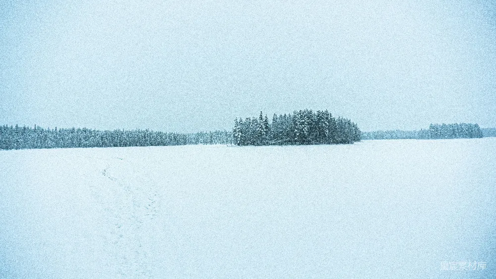 高清摄影 白色雪原