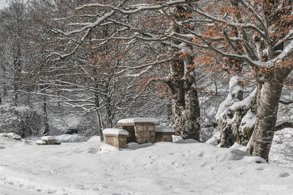 高清摄影 一堆雪