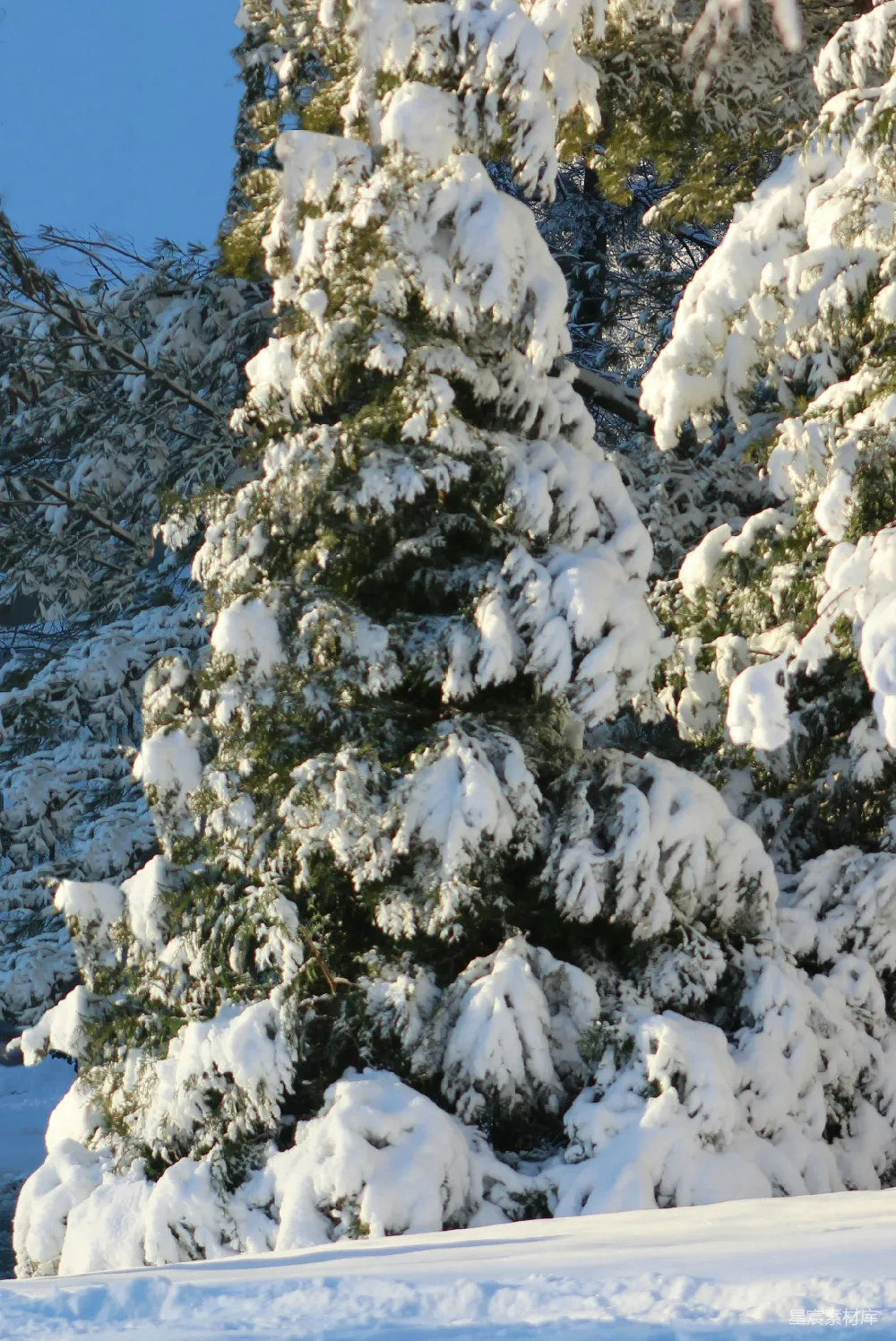高清摄影 一个滑雪板运动员在雪地里