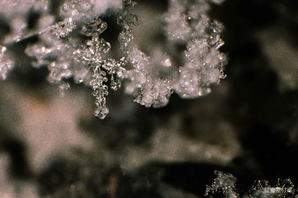 高清摄影 冰晶簇的特写镜头