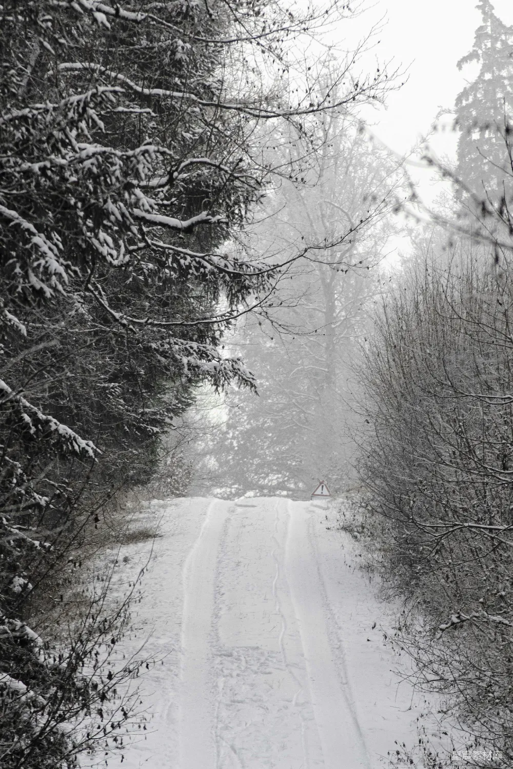 高清摄影 一条被雪覆盖的道路周围环绕着树木和灌木。