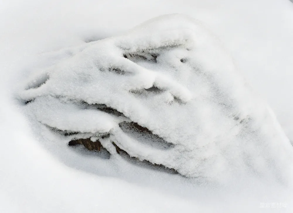 高清摄影 覆盖着白雪的地面上的一个特写镜头