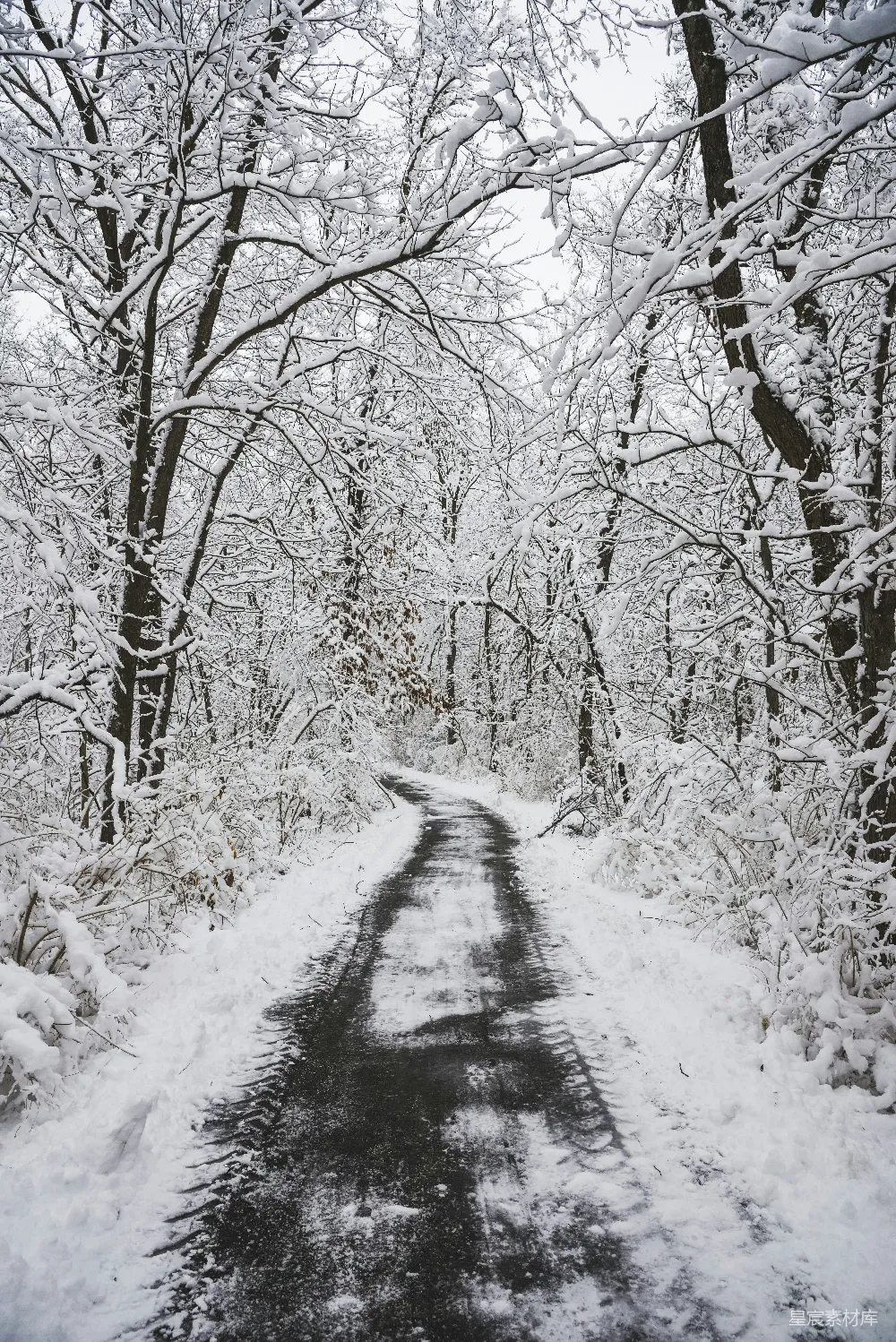 高清摄影 森林中一条覆盖着白雪的道路