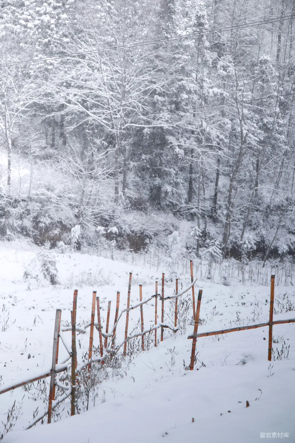 高清摄影 背景中有树的雪地篱笆