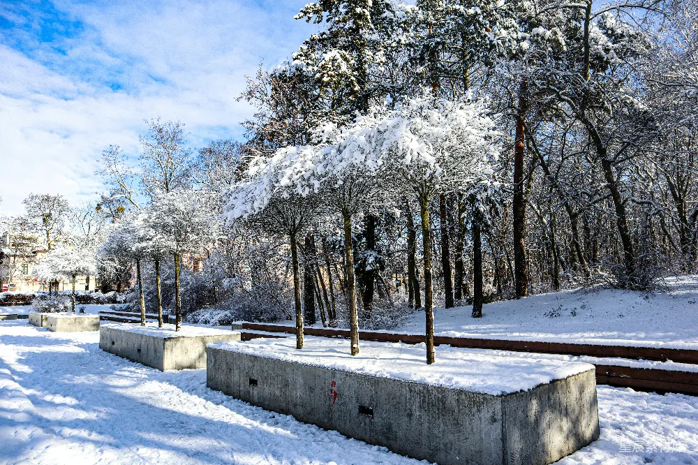 高清摄影 覆盖着白雪的公园，有长椅和树木
