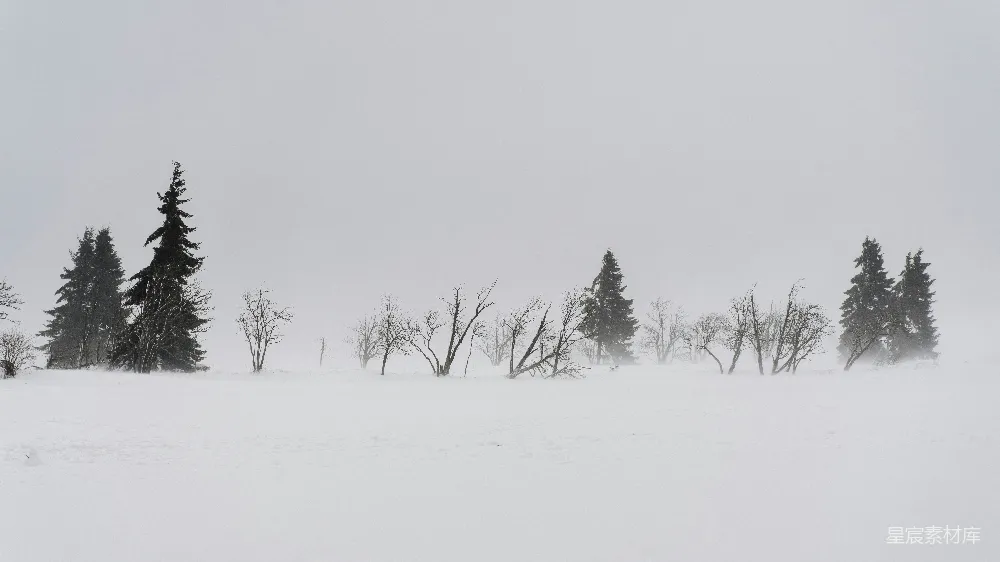 高清摄影 滑雪的人在一片雪地上。