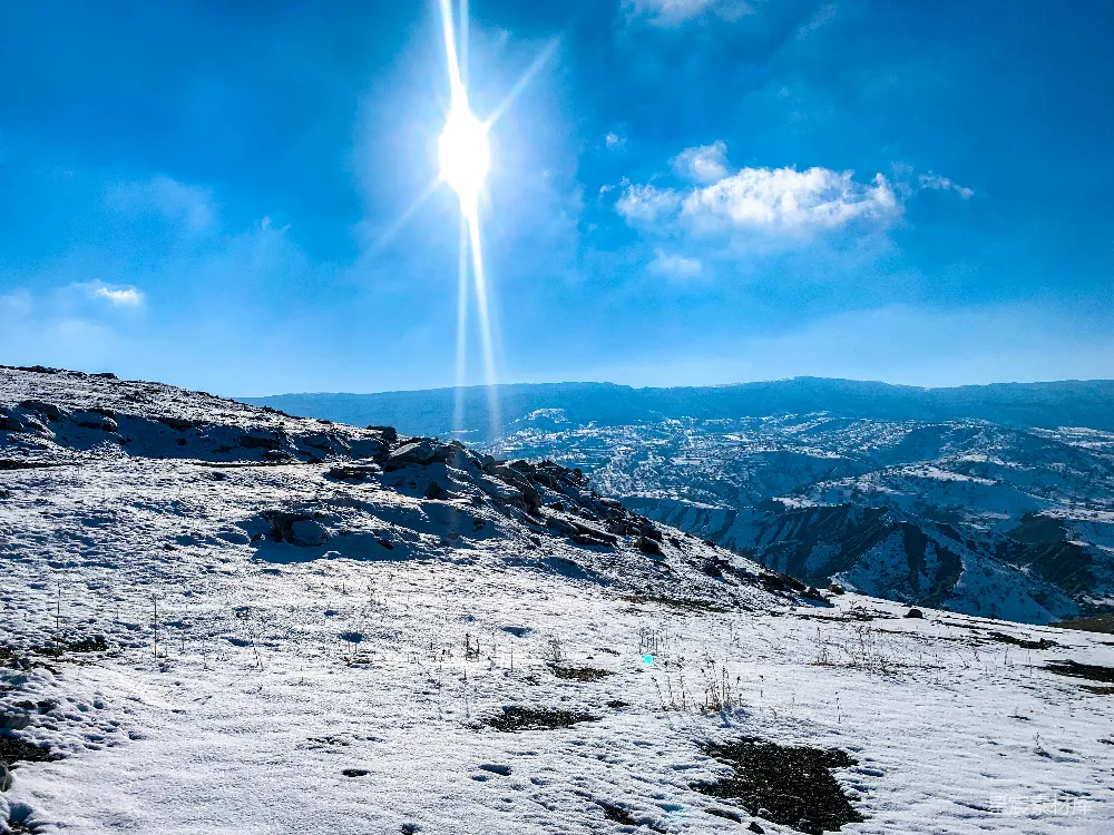 高清摄影 皑皑白雪下的阳光灿烂明媚。