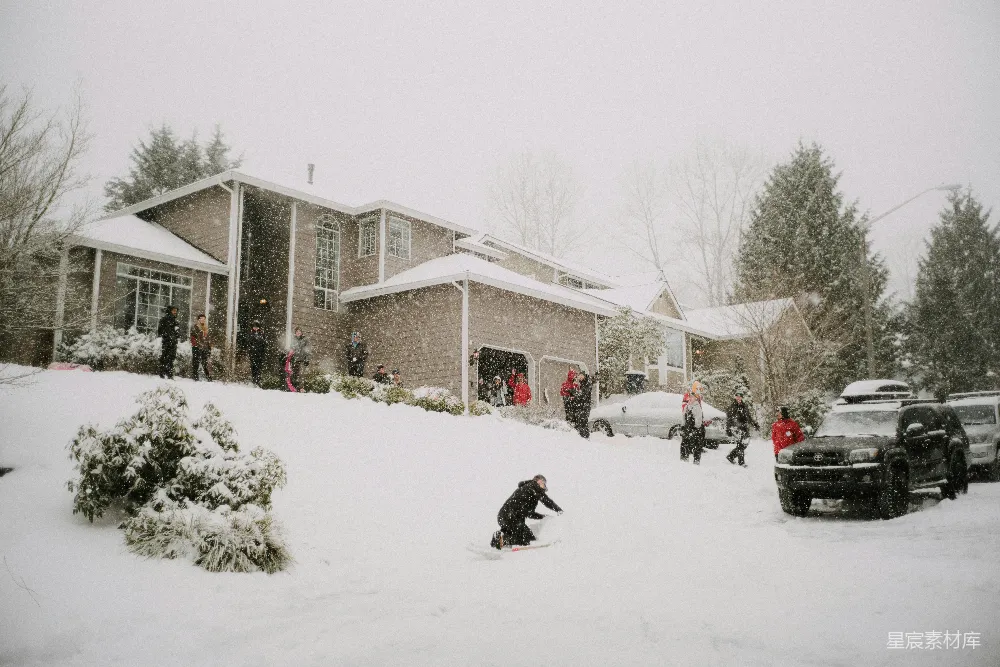 高清摄影 黑狗在雪覆盖的地上