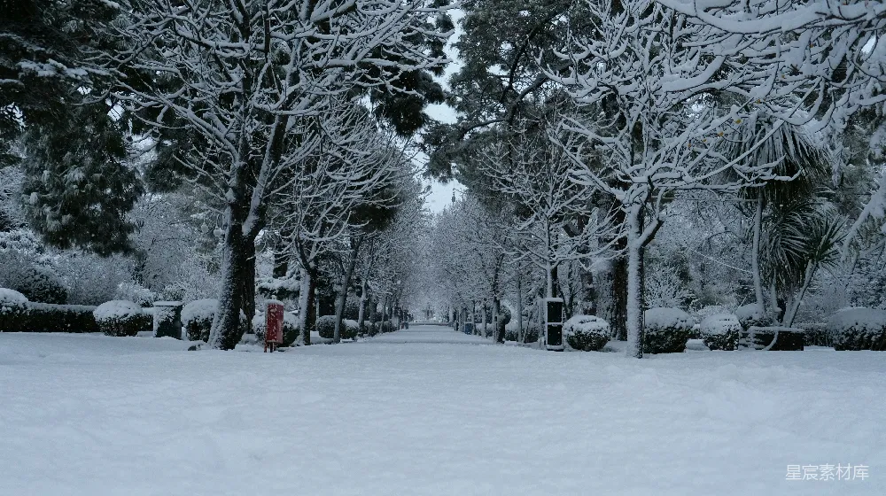 高清摄影 红色的消防栓孤零零地坐落在一片覆盖着白雪的公园中央。