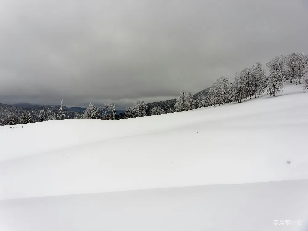 高清摄影 滑雪者在雪覆盖的山坡上滑下