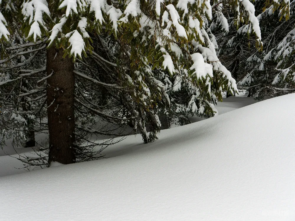 高清摄影 一名男子骑着滑雪板下滑在覆雪的山坡上